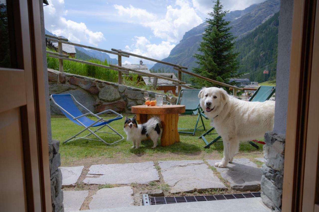 Walsertal Residence Gressoney-la-Trinité Exterior photo